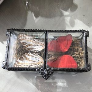 Beveled Iron and Glass Hinged Box with Butterflies